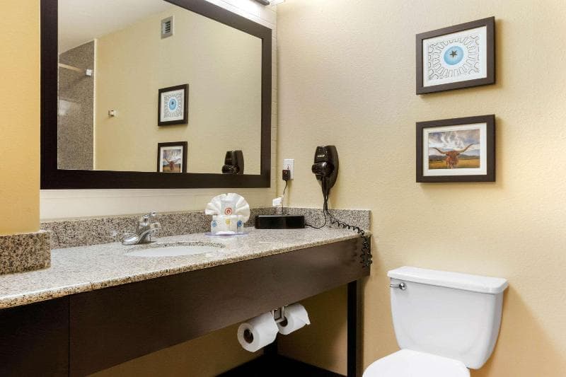 Comfort Inn & Suites 2