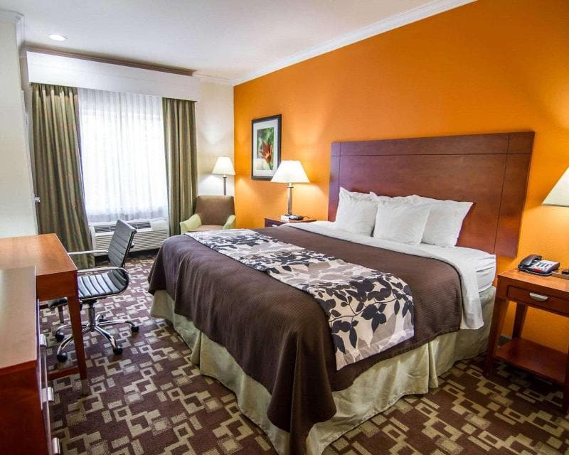 Sleep Inn & Suites I-20 2
