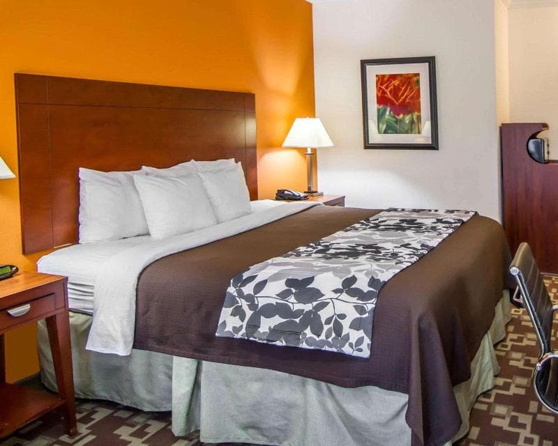 Sleep Inn & Suites I-20 4