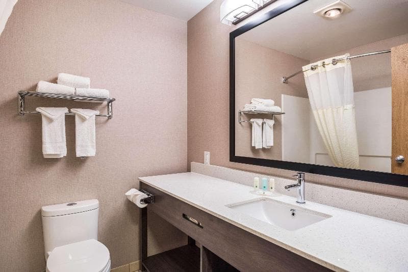 Quality Inn & Suites 5