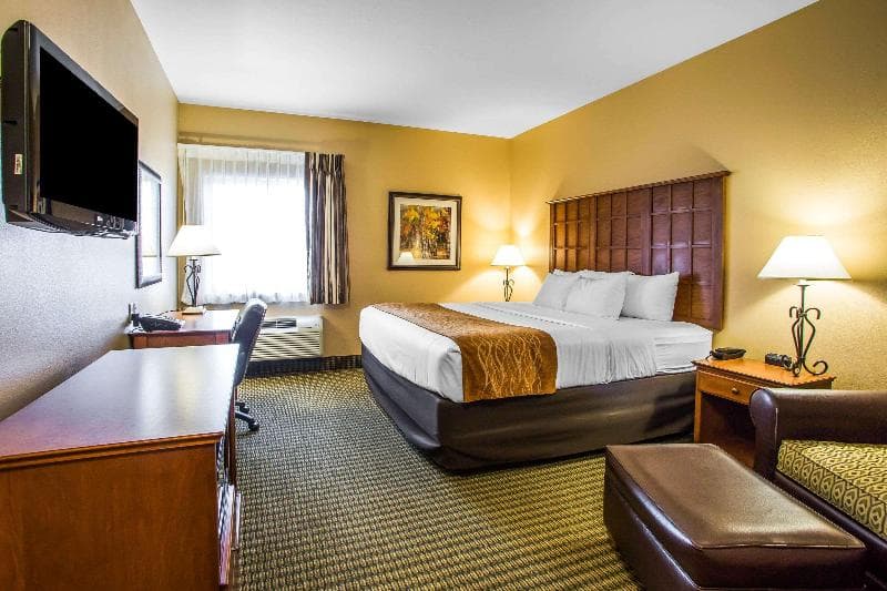 Comfort Inn & Suites 3