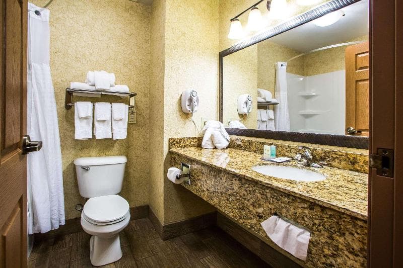 Comfort Inn & Suites 5