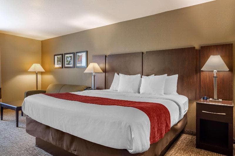 Comfort Inn & Suites Perry National Fairgrounds Area 3