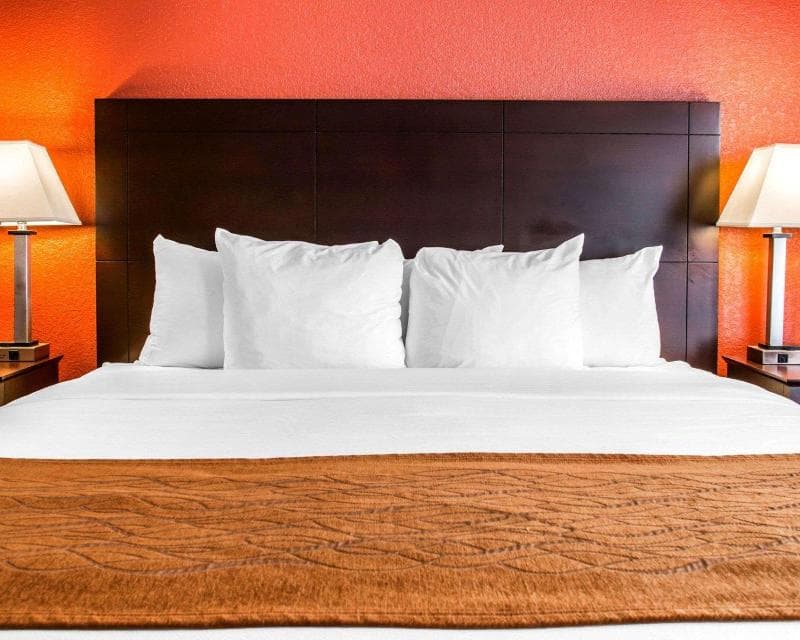 Comfort Inn & Suites and Conference Center 2