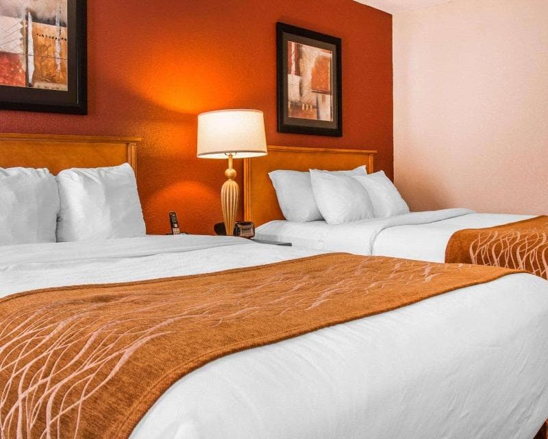 Comfort Inn & Suites and Conference Center 4