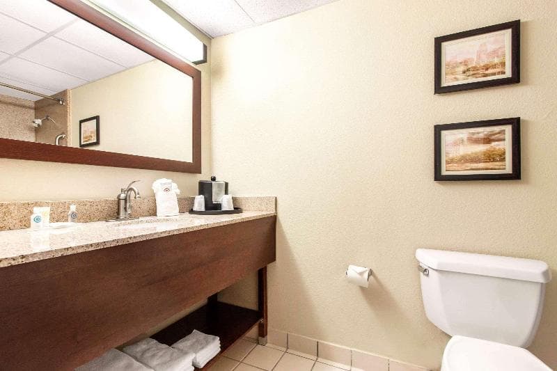 Comfort Inn & Suites Omaha Central 5