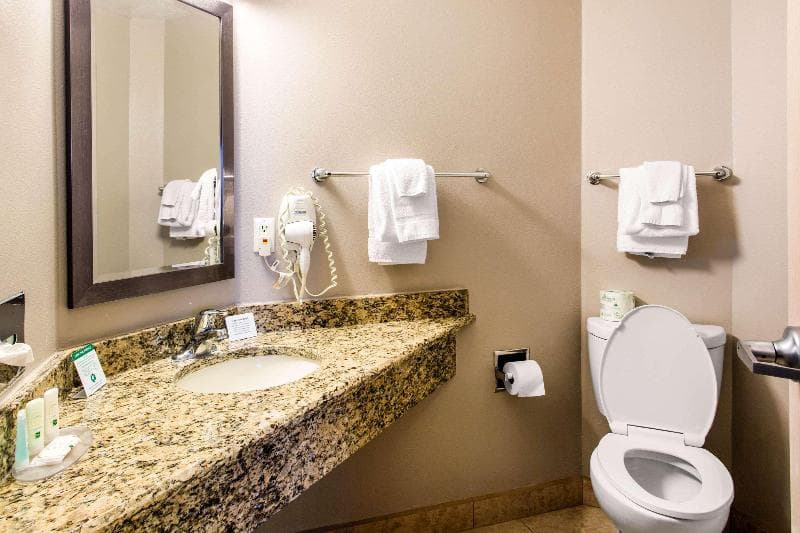 Quality Inn 3