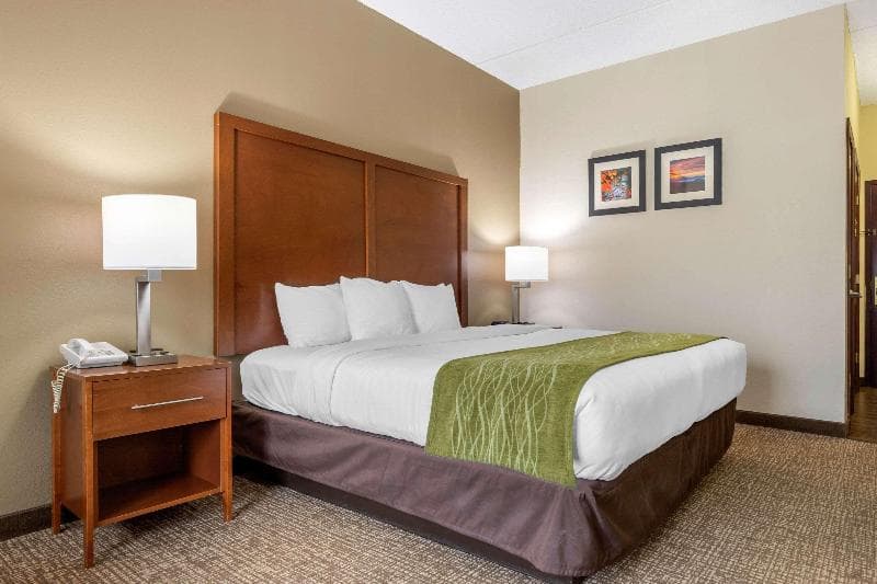 Comfort Inn Asheville Airport 4