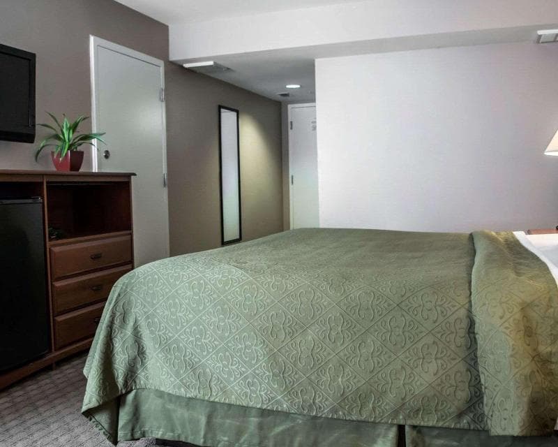 Quality Inn & Suites Near Fairgrounds Ybor City 5