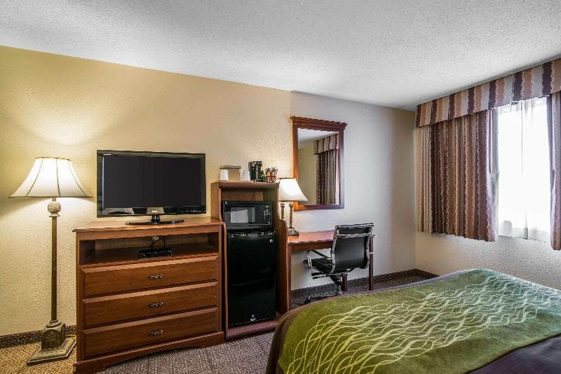 Comfort Inn Santa Rosa 4