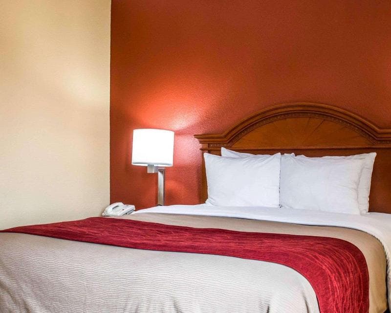 Comfort Inn & Suites Panama City - St Andrew 4