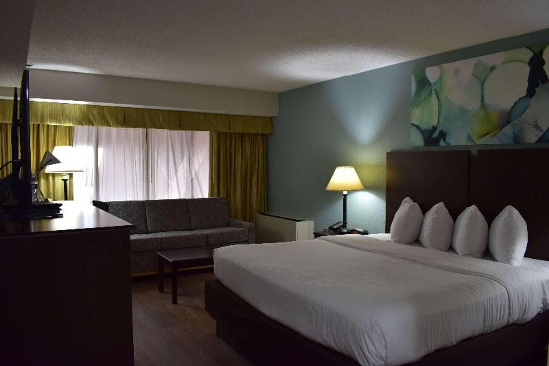 Wyndham Garden Ann Arbor 4