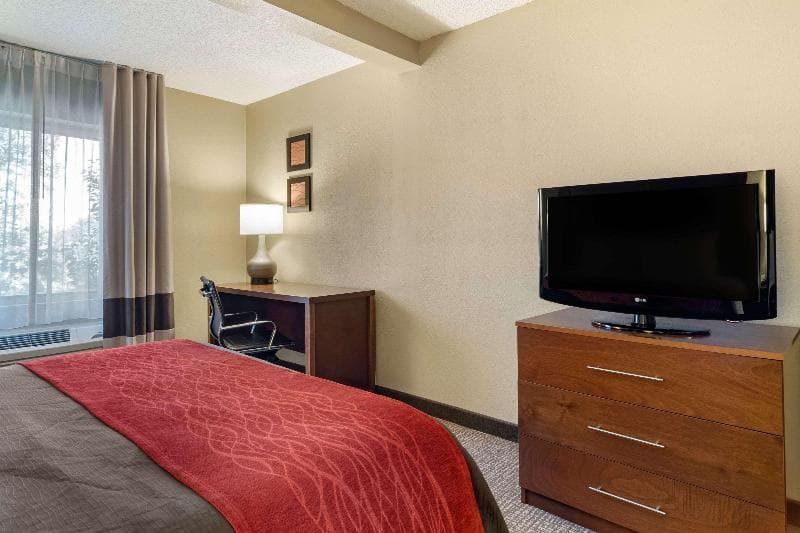 Comfort Inn And Suites Suwanee - Sugarloaf 5
