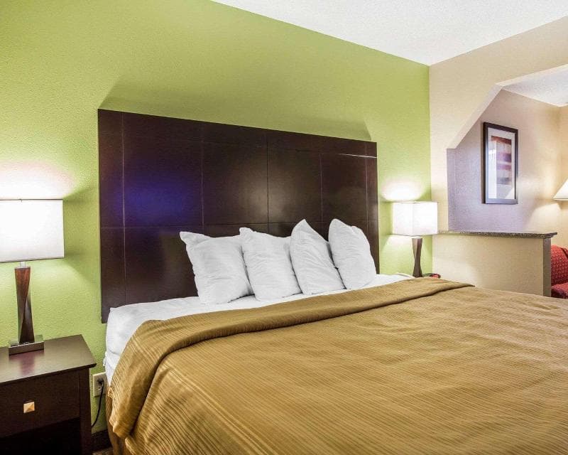 Quality Inn And Suites Dublin photo 1