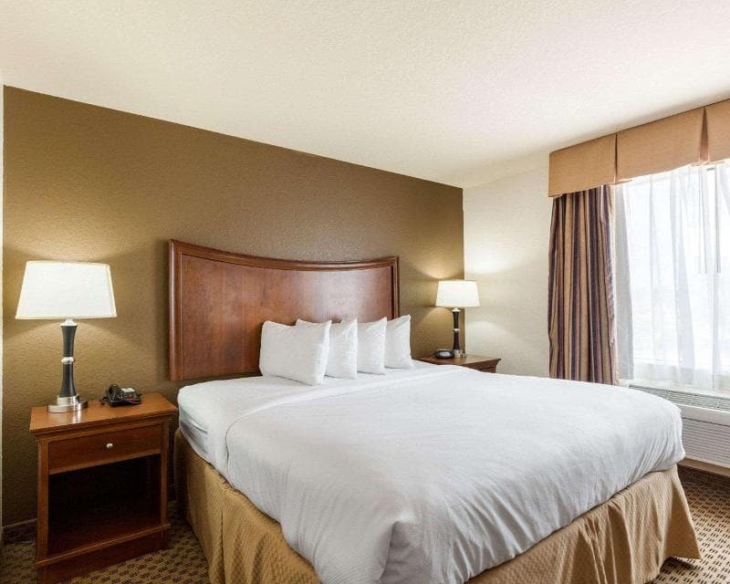Quality Suites photo 1
