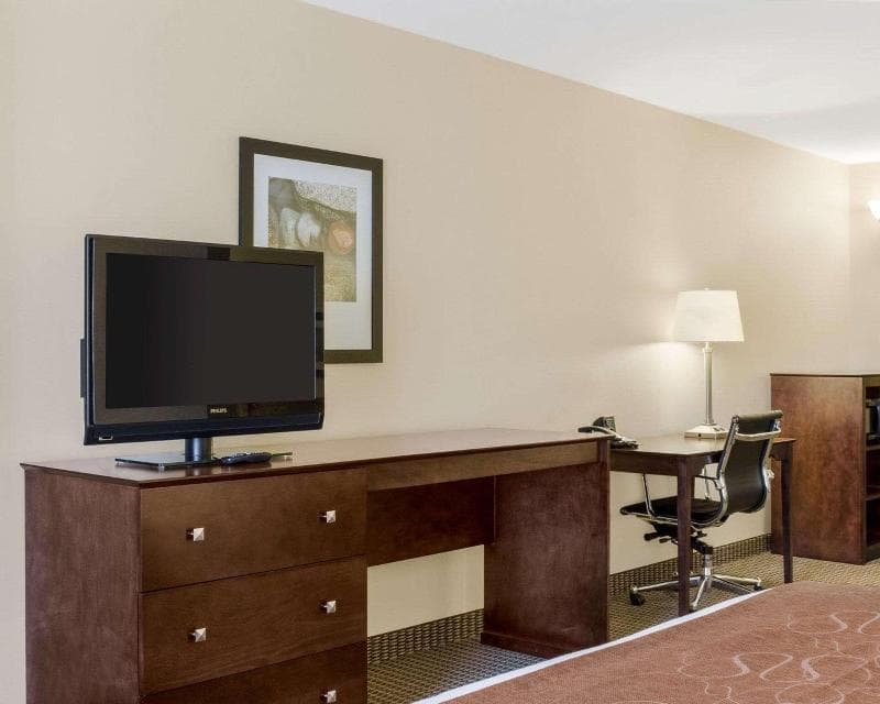 Comfort Suites Conference Center Rapid City 3