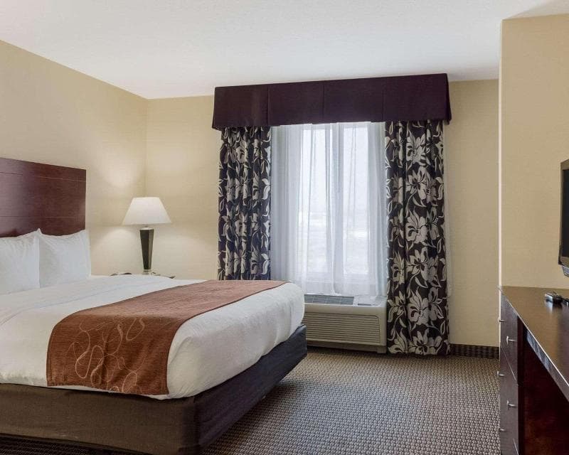 Comfort Suites Conference Center Rapid City 4