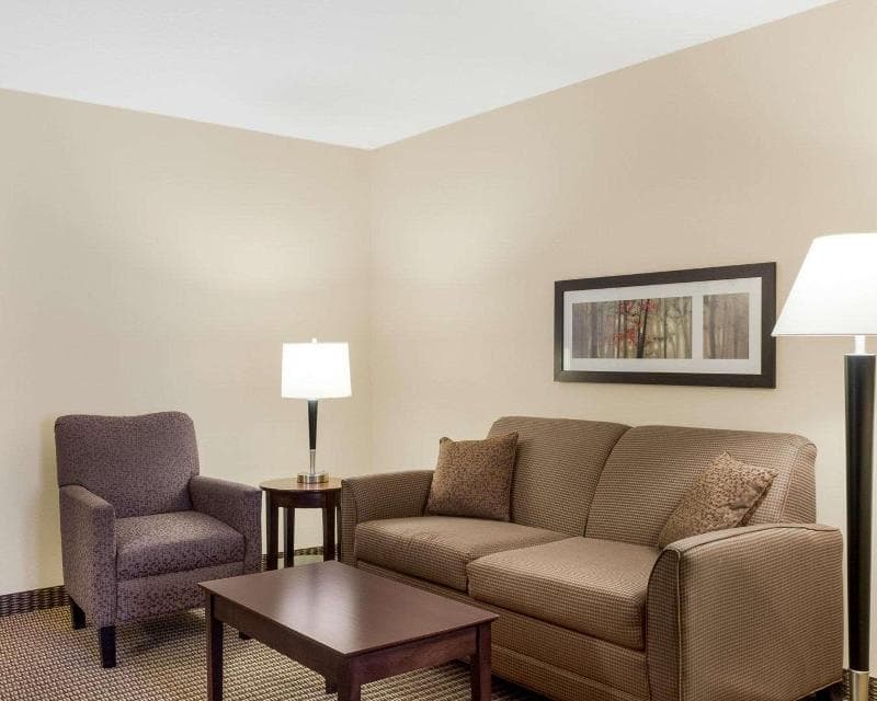Comfort Suites Conference Center Rapid City 5