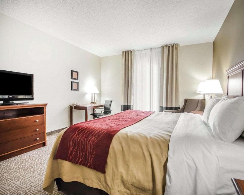 Comfort Inn 3