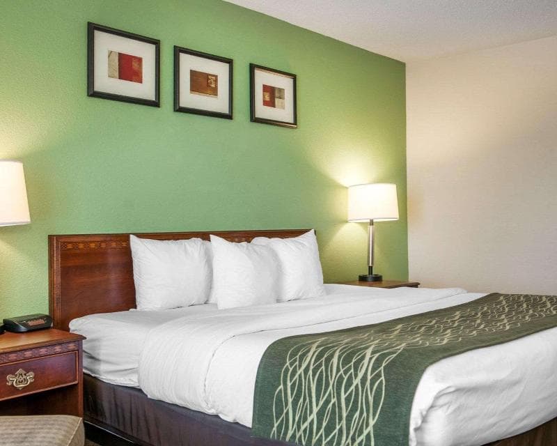 Comfort Inn 4