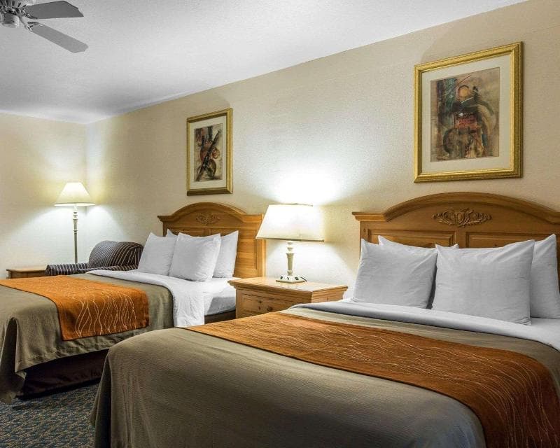 Comfort Inn & Suites Sequoia Kings Canyon 4