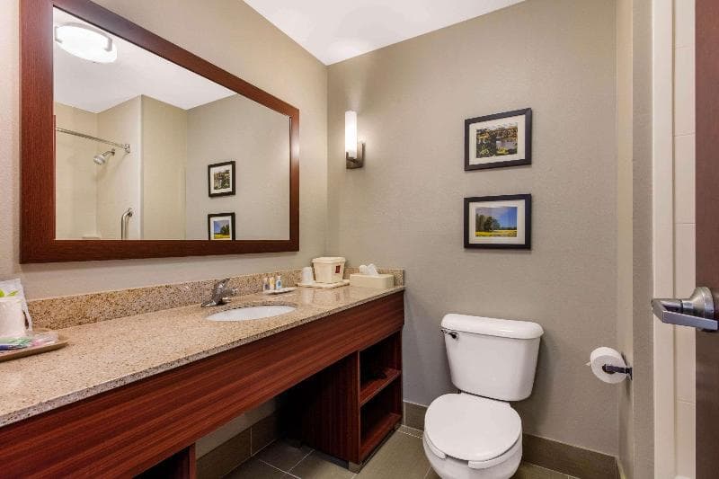 Comfort Suites Tuscaloosa Near University 4