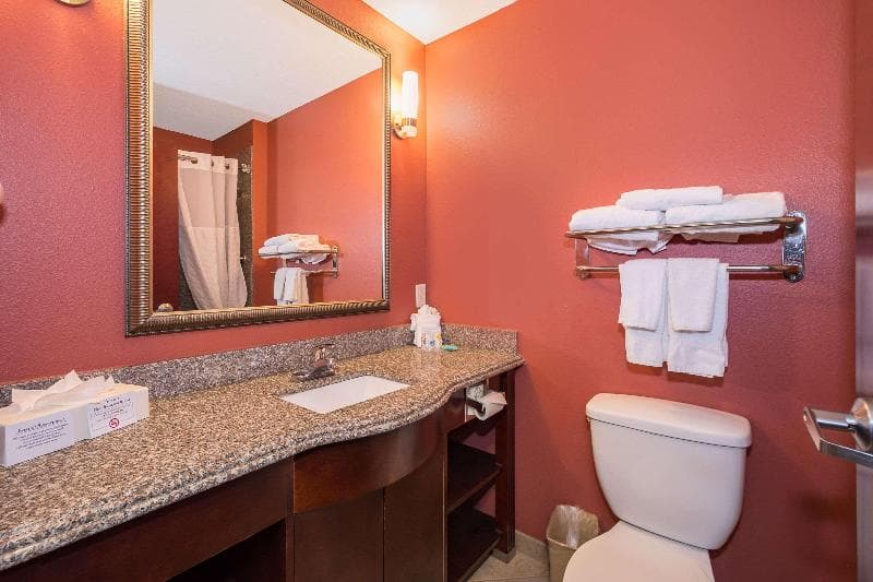 Comfort Inn & Suites Maingate South photo 1