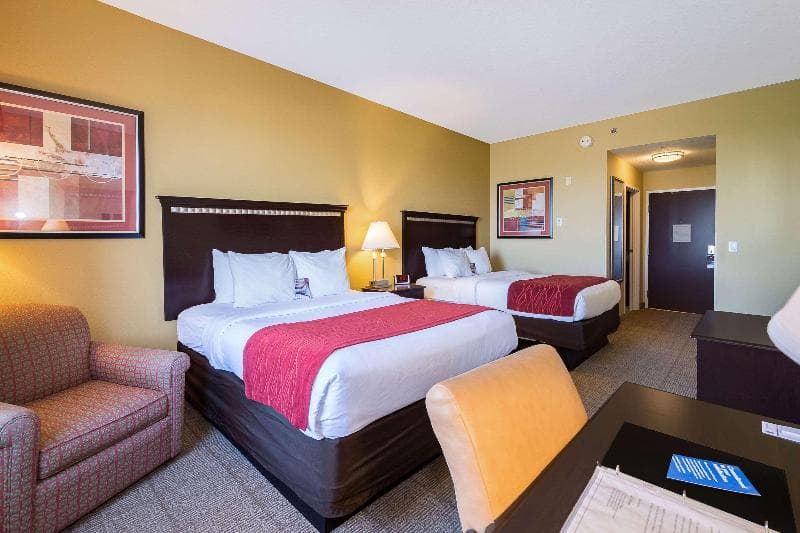 Comfort Inn & Suites Maingate South 3