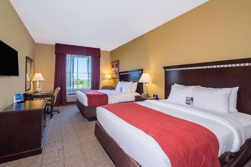 Comfort Inn & Suites Maingate South 5