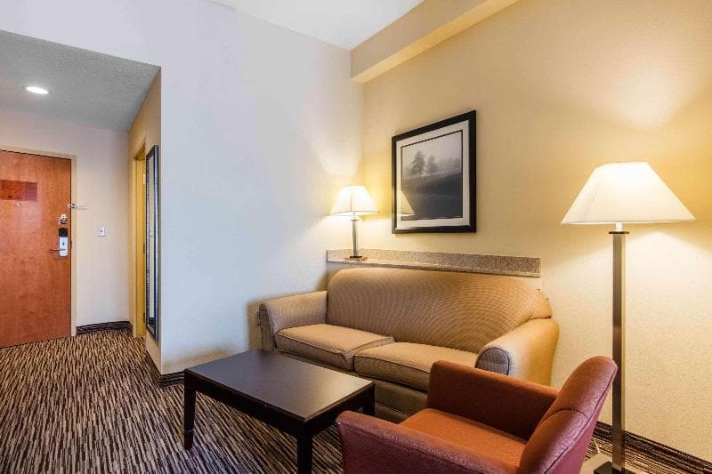 Comfort Suites 5