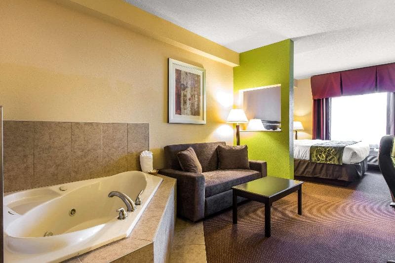 Comfort Suites Forsyth Near I-75 3