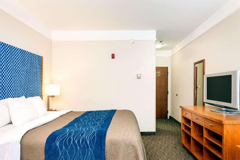 Spark by Hilton Savannah Airport 3