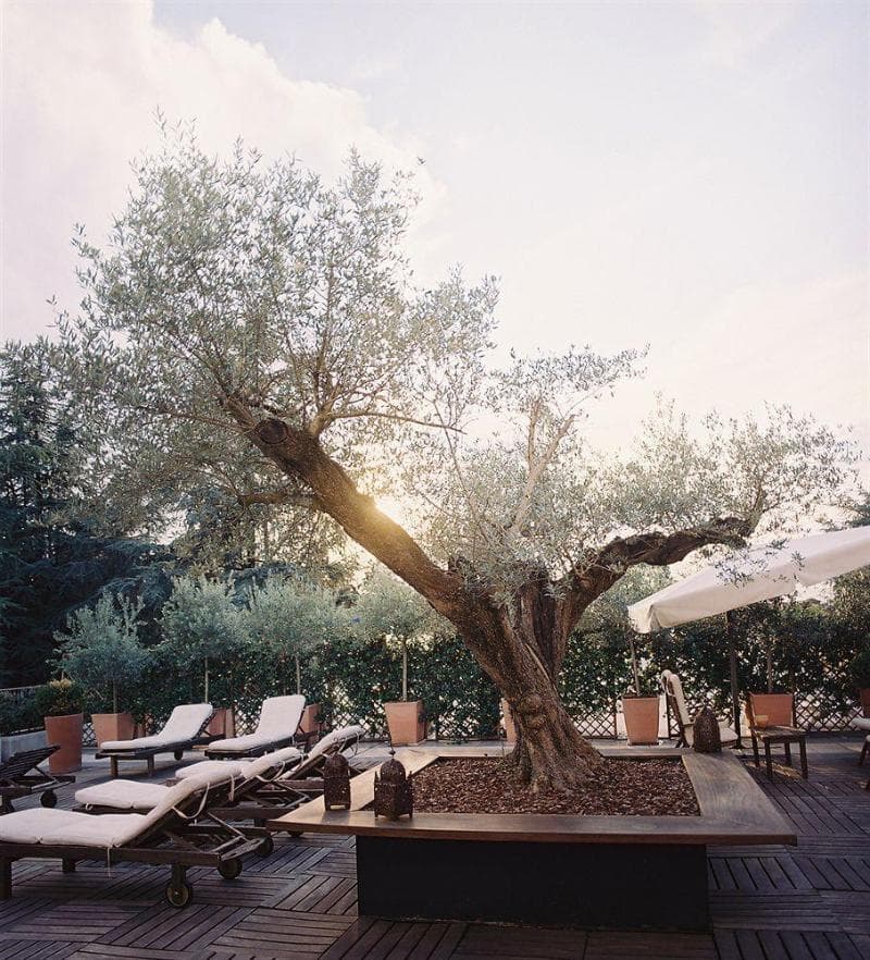 Terme 4