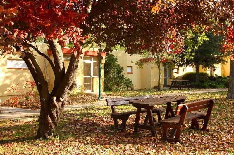 Kibbutz Merom Golan