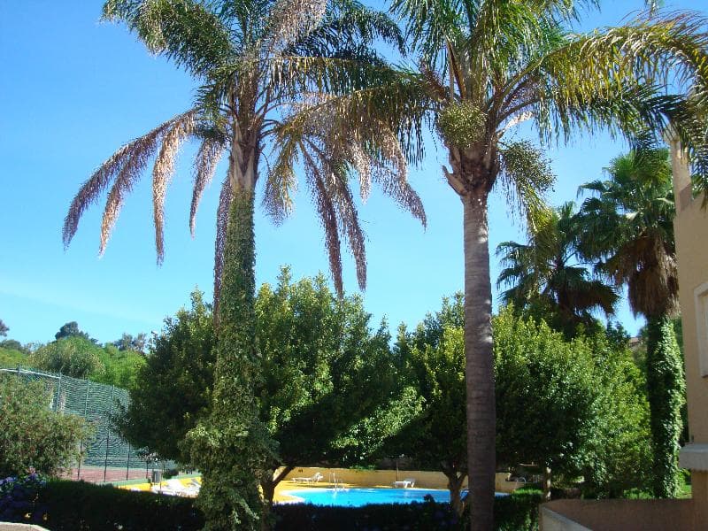 Apartamentos Islantur Ipanema 2