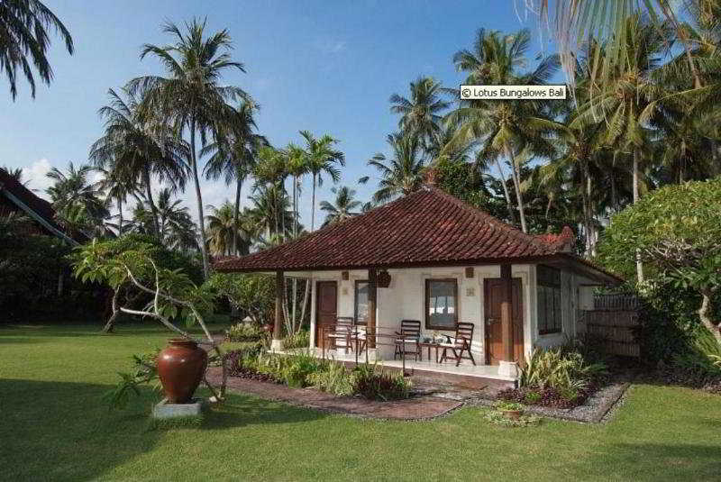 Lotus Bungalows main