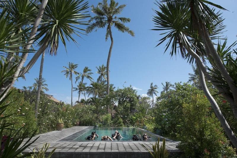 Lotus Bungalows 5