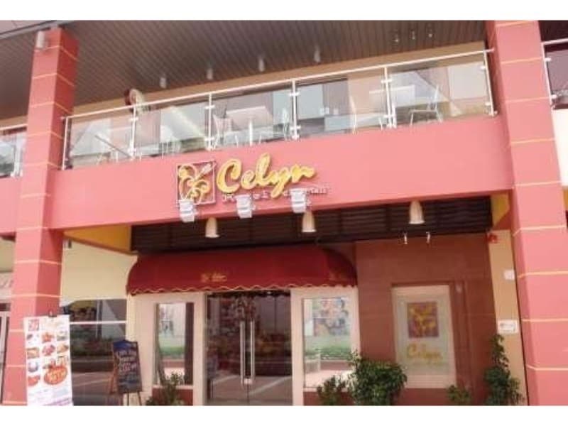 Celyn City Mall 1