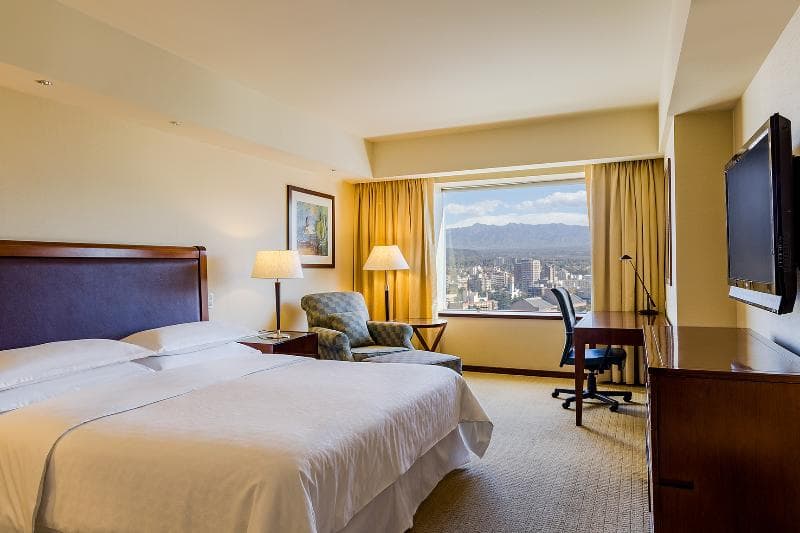 Sheraton Mendoza photo 1