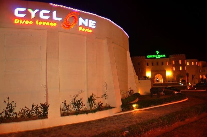 Green Palm 4