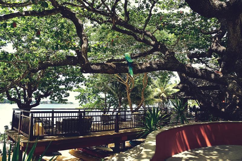 Tamarina Golf & Spa Boutique Hotel 4
