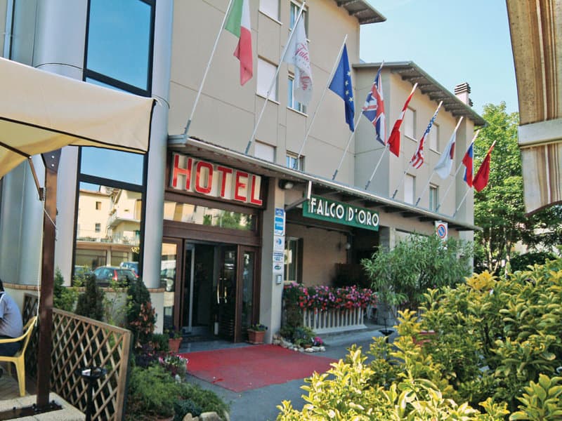 Falco D'Oro photo 1