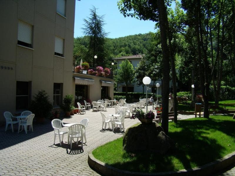 Falco D'Oro 4