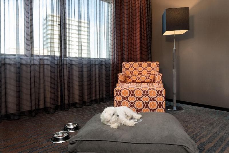 Sheraton Essen 5