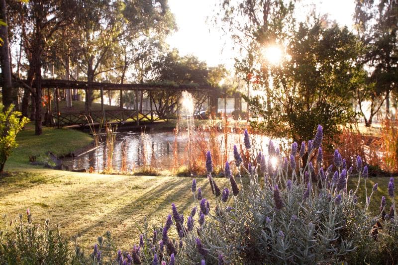 Hunter Valley Resort 4
