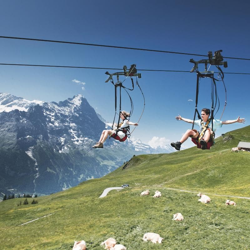 Arenas Resort Victoria-Lauberhorn 4
