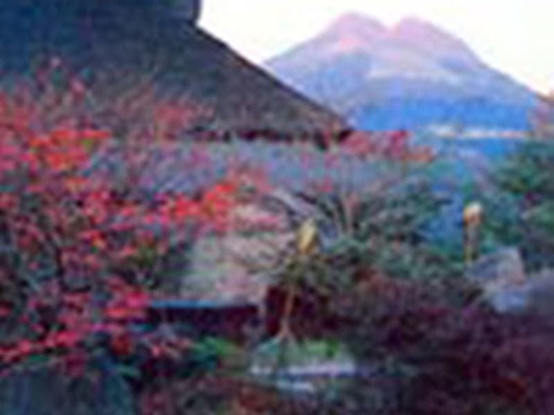 Ryokan Makibanoie main