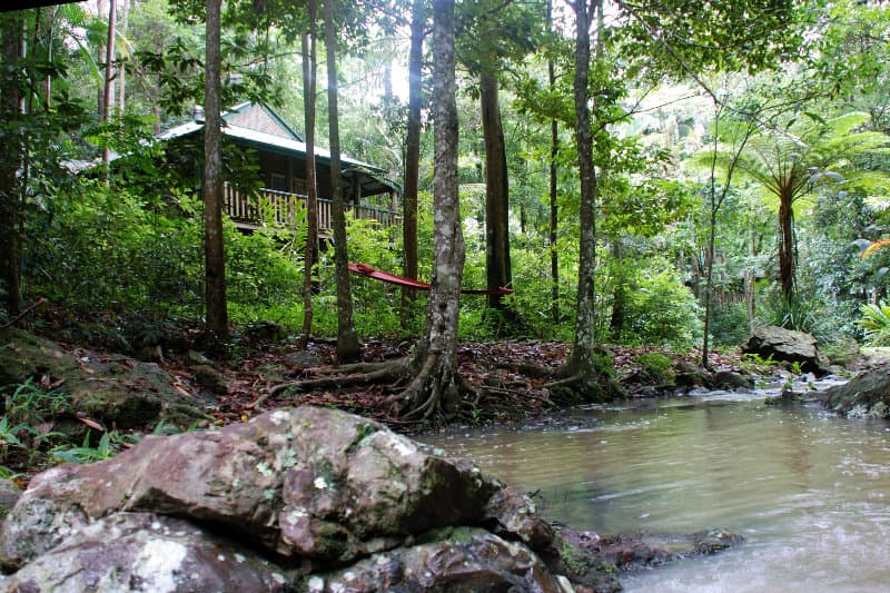 Narrows Escape Rainforest Retreat 2