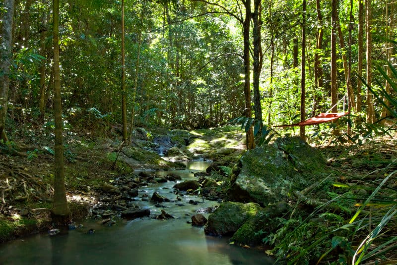 Narrows Escape Rainforest Retreat 3