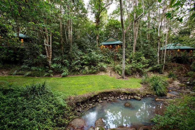 Narrows Escape Rainforest Retreat 5